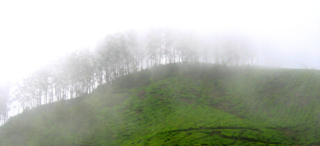 South West Monsoon in Kerala